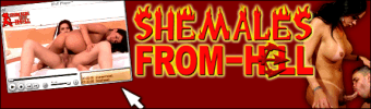 You have never seen shemales fuck like this!